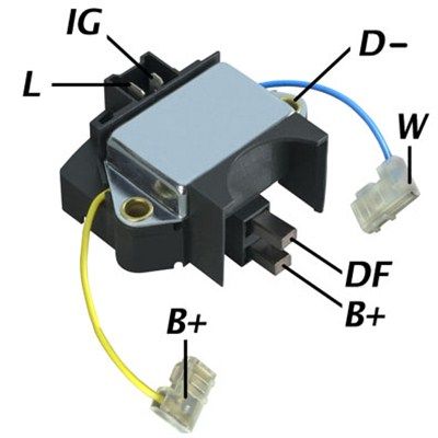 DDF_AMP0956_WR.JPG
