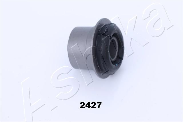 GOM-2427_1.JPG