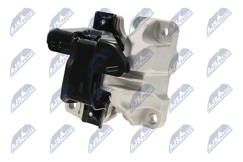 Paigutus, Mootor, NTY ZPS-FR-054