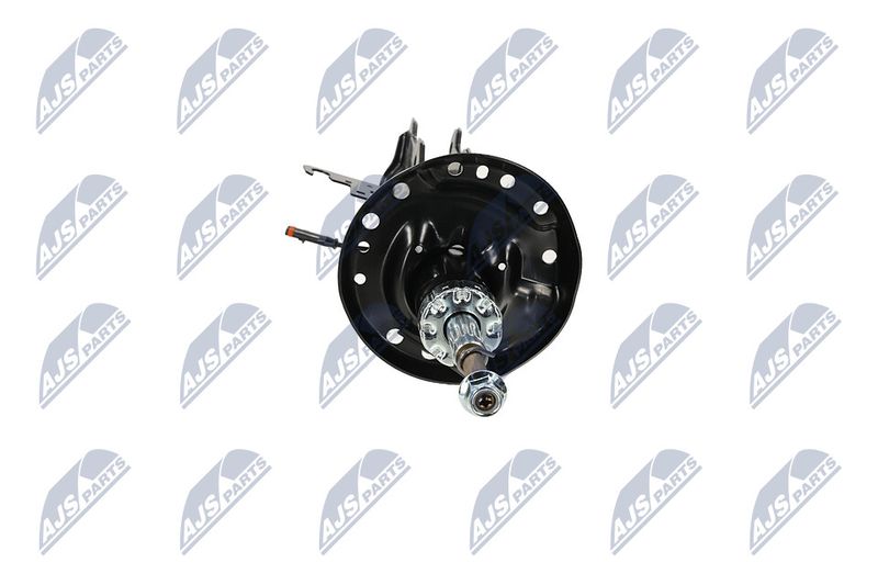 Amort, NTY A-PL-062