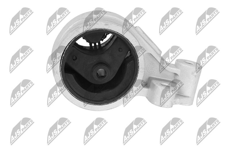 Paigutus, Mootor, NTY ZPS-KA-312