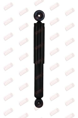 Amortisseur LTM C02579