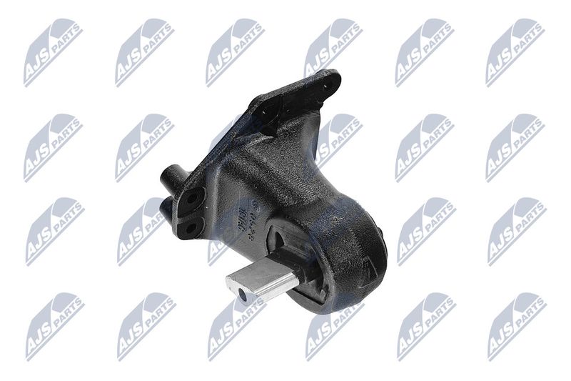 Paigutus, Mootor, NTY ZPS-CH-173