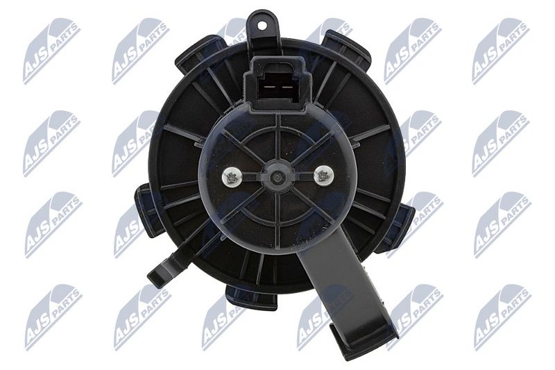 Salongipuhur, NTY EWN-ME-016