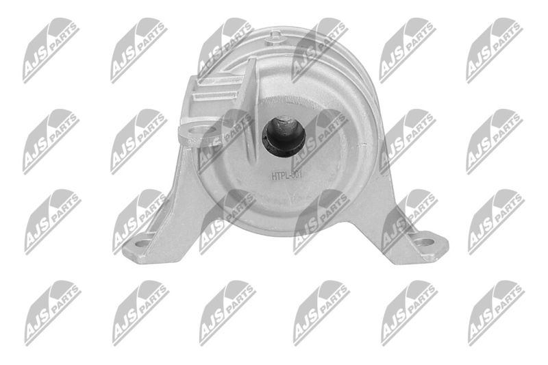 Paigutus, Mootor, NTY ZPS-PL-001