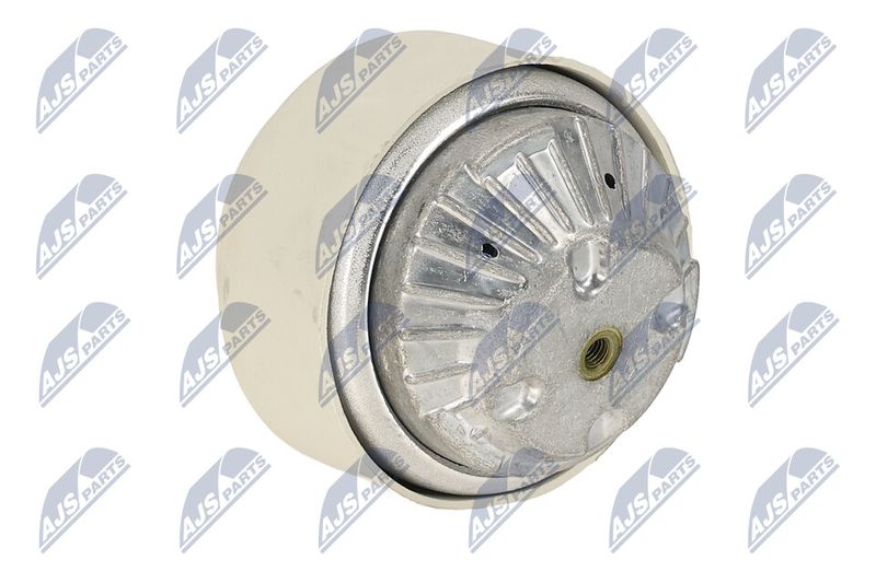 Paigutus, Mootor, NTY ZPS-ME-108