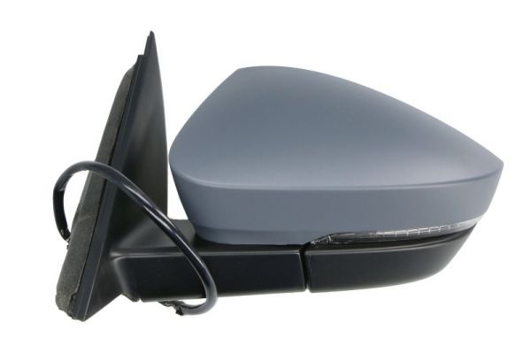 BLIC 5402-43-1925314P Exterior Mirror