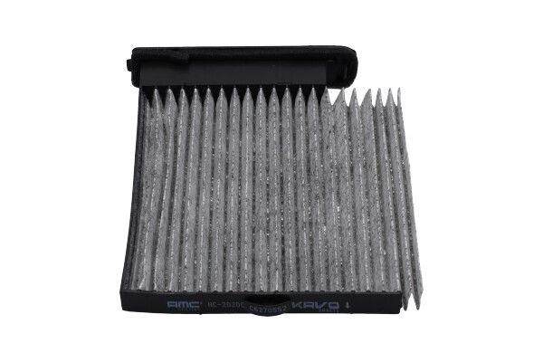 Kavo Parts Filtras, salono oras