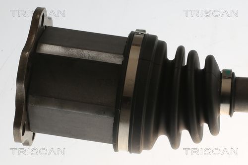 8540295096_2.JPG
