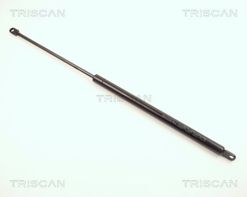 TRIS8710369.JPG