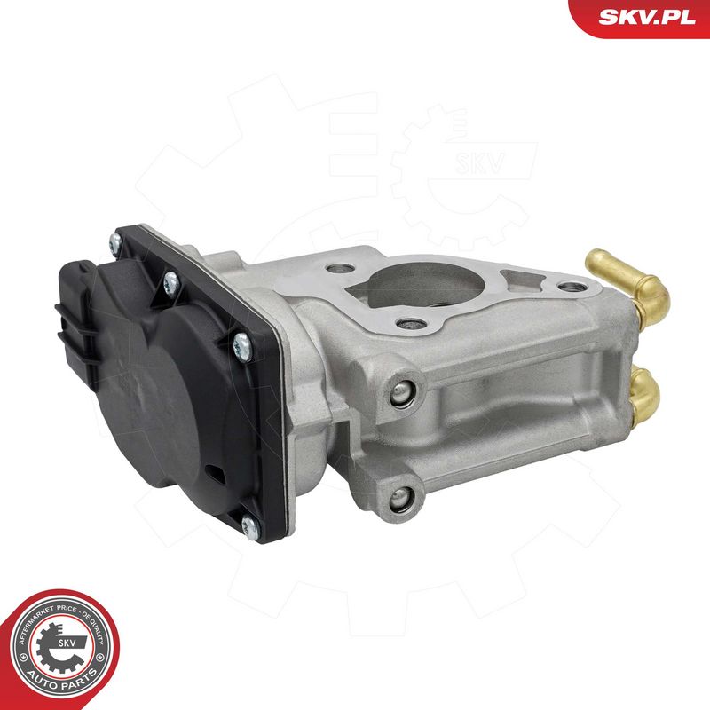 EGR-klapp, ESEN SKV 14SKV294