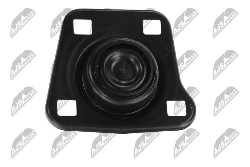 Paigutus, Mootor, NTY ZPS-FR-062