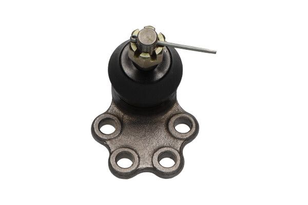 Kavo Parts Šarnyras / girgždukas