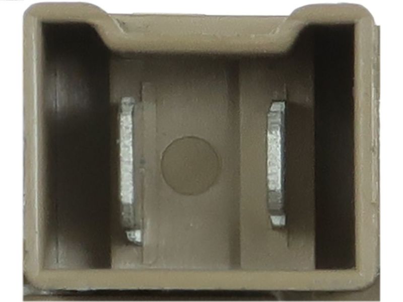 317376.JPG