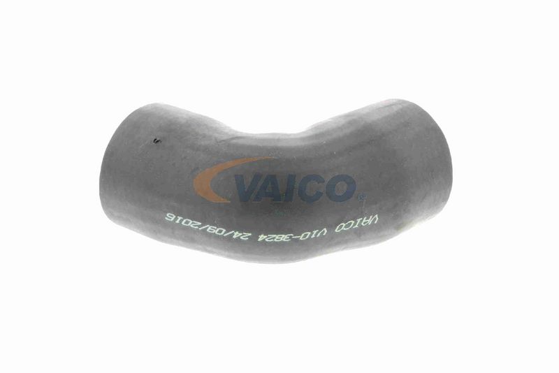 VAICO V10-3824 Charge Air Hose