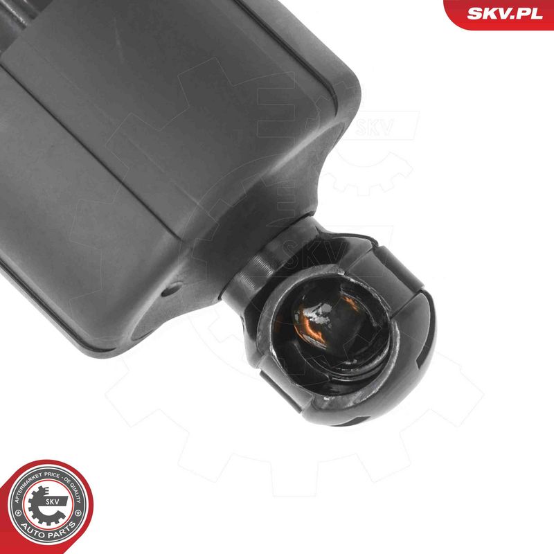 ESEN SKV 52SKV273 Electric Motor, tailgate