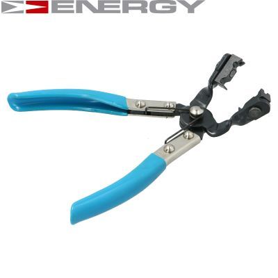 Гострозубці, Energy NE00976