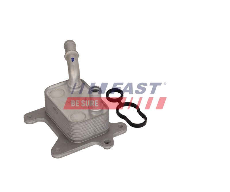 Prekė atitinka OEM kodą: 213053566R