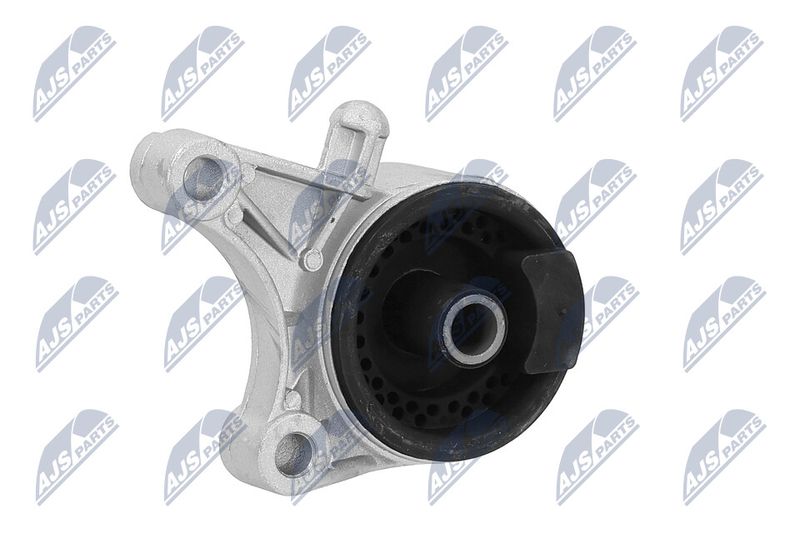 Paigutus, Mootor, NTY ZPS-PL-036