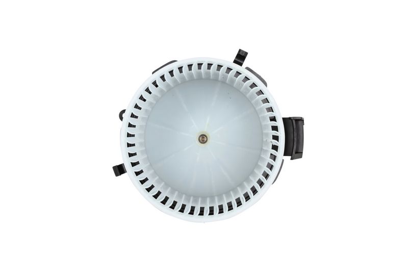 Prekės atitinka OEM kodą: 77362538