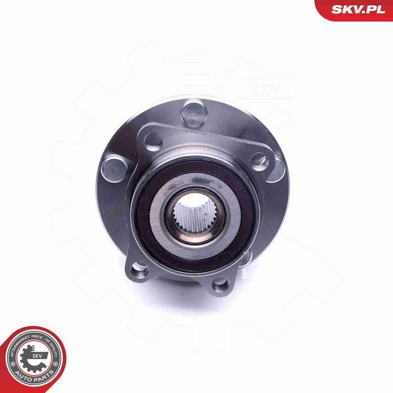 ESEN SKV 29SKV248 Wheel Bearing Kit
