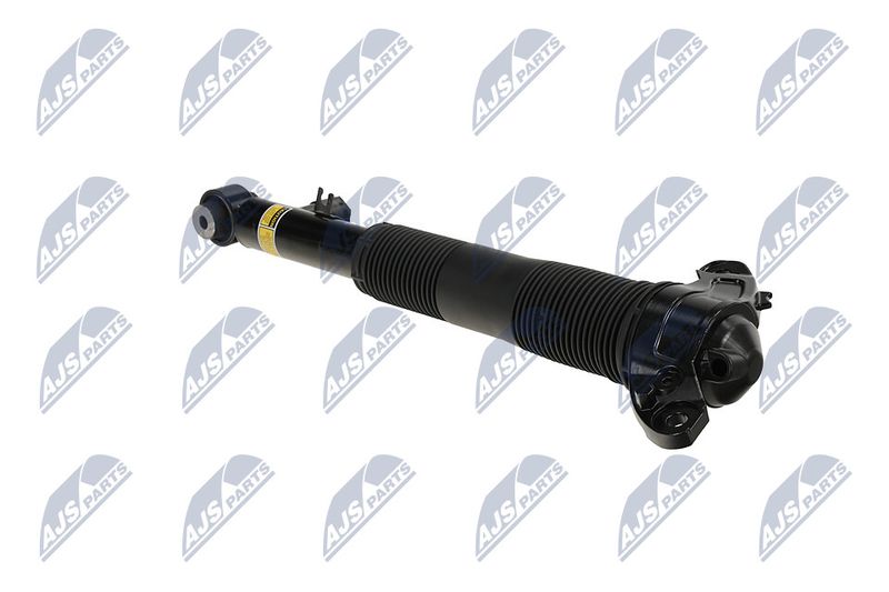 Amort, NTY A-LR-036