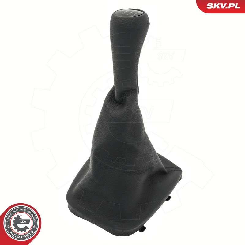 Käigukanginupp, ESEN SKV...