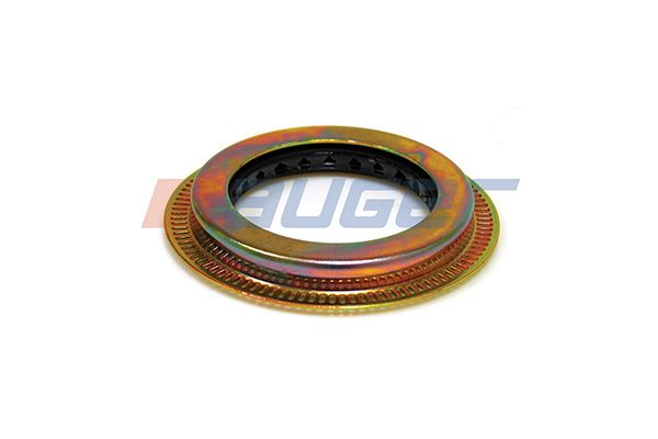 Wellendichtring, Radnabe