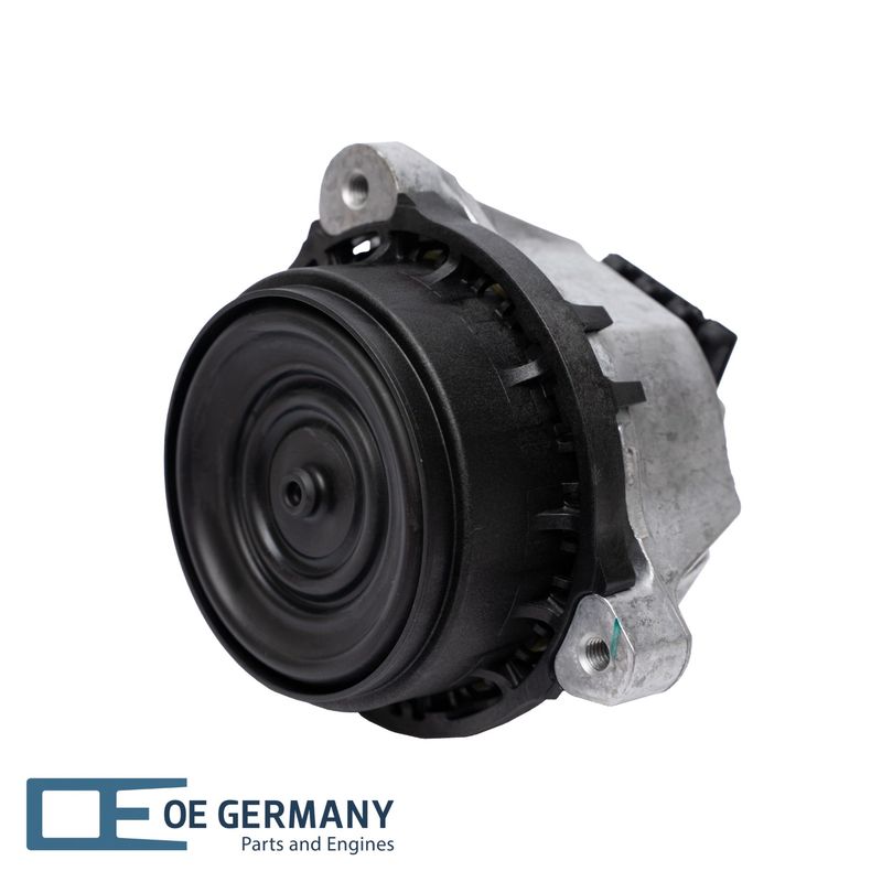 802566-1-V1-OEG.JPG