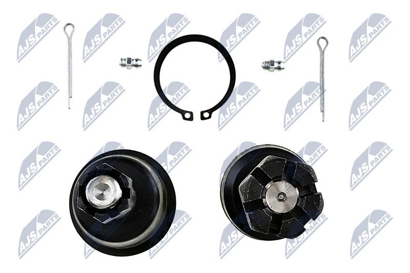 Kande-, juhtliigend, NTY ZSD-CH-004