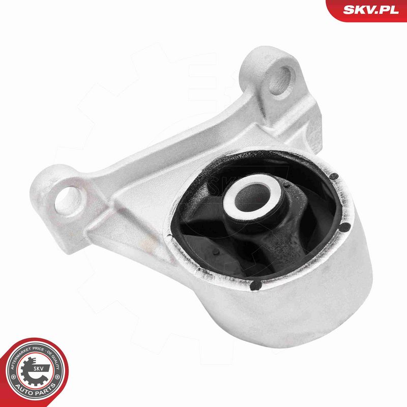 ESEN SKV 75SKV100 Mounting, engine