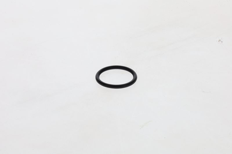 BOSCH 1 460 210 306 Rubber Ring