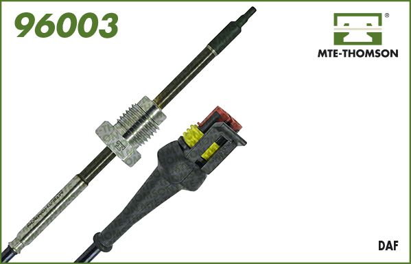 96003.JPG