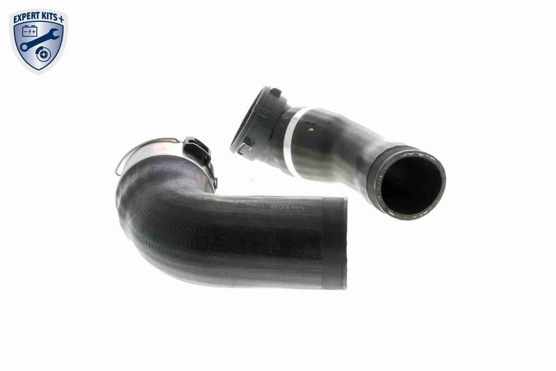 VAICO V20-1616 Charge Air Hose