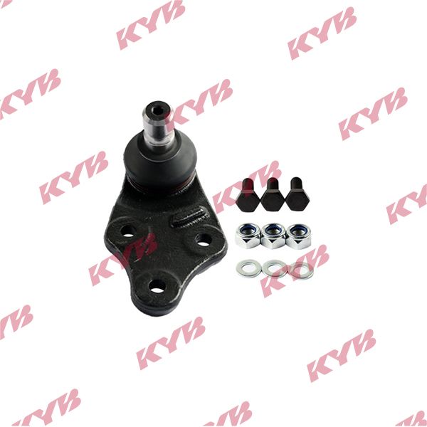 KYB-KBJ4415.JPG