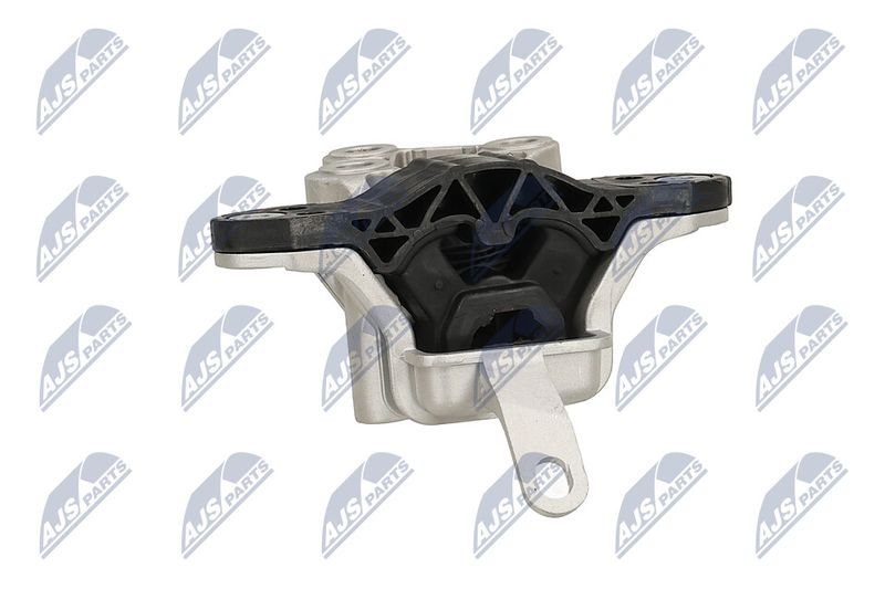 Paigutus, Mootor, NTY ZPS-PL-078