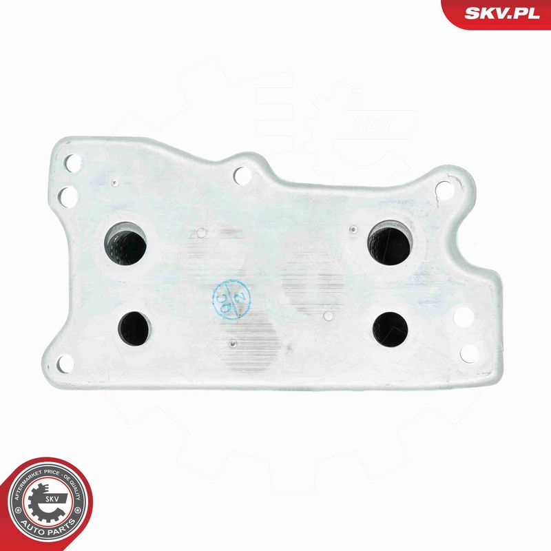 ESEN SKV 31SKV219 Variklio alyvos aušintuvas