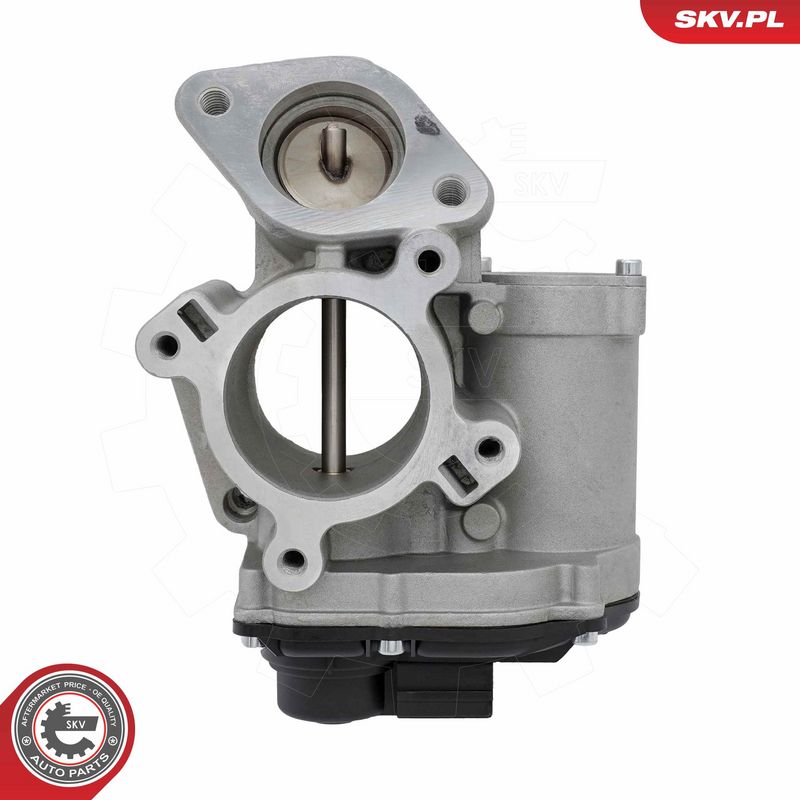 EGR-klapp, ESEN SKV 14SKV317