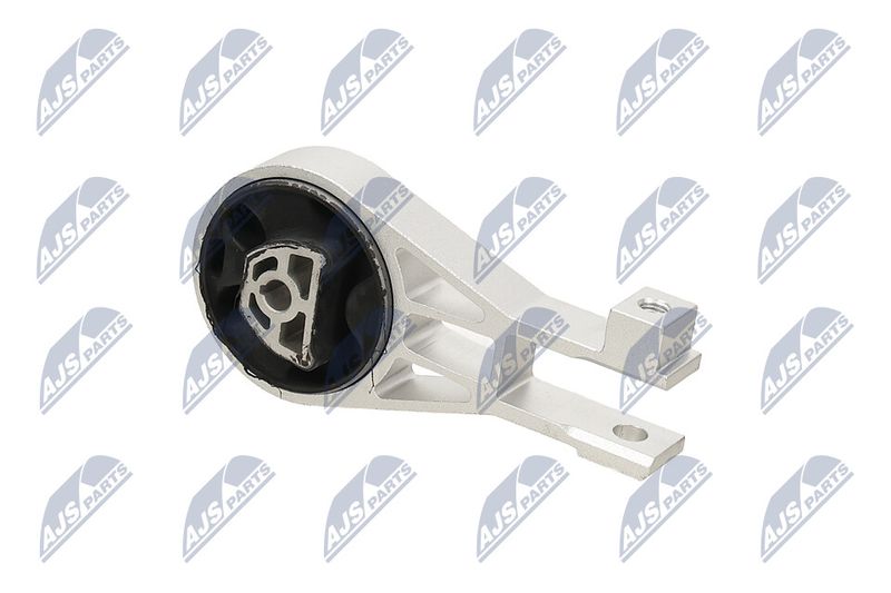 Paigutus, Mootor, NTY ZPS-PL-064