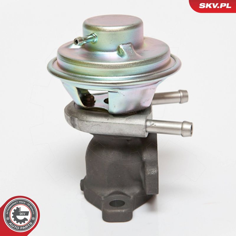ESEN SKV 14SKV062 EGR Valve