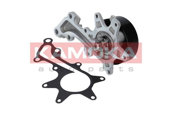 KAMOKA T0109 Water Pump, engine cooling