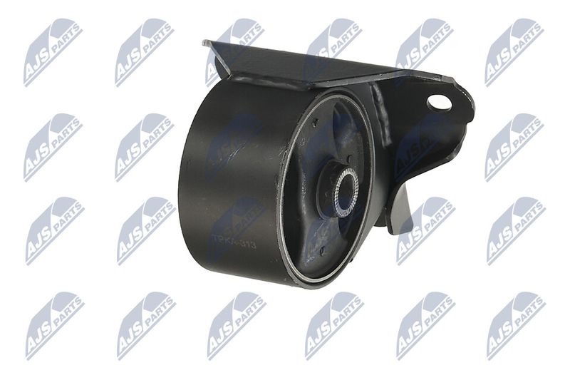 Paigutus, Mootor, NTY ZPS-KA-313