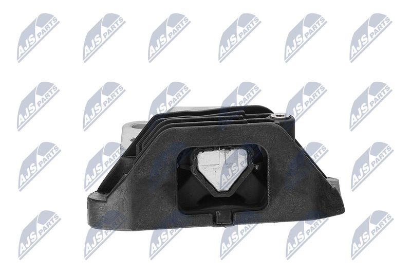 Paigutus, Mootor, NTY ZPS-CH-165