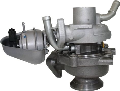 GS440828.JPG
