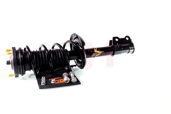 Vedruamort, GH GH-352388C01