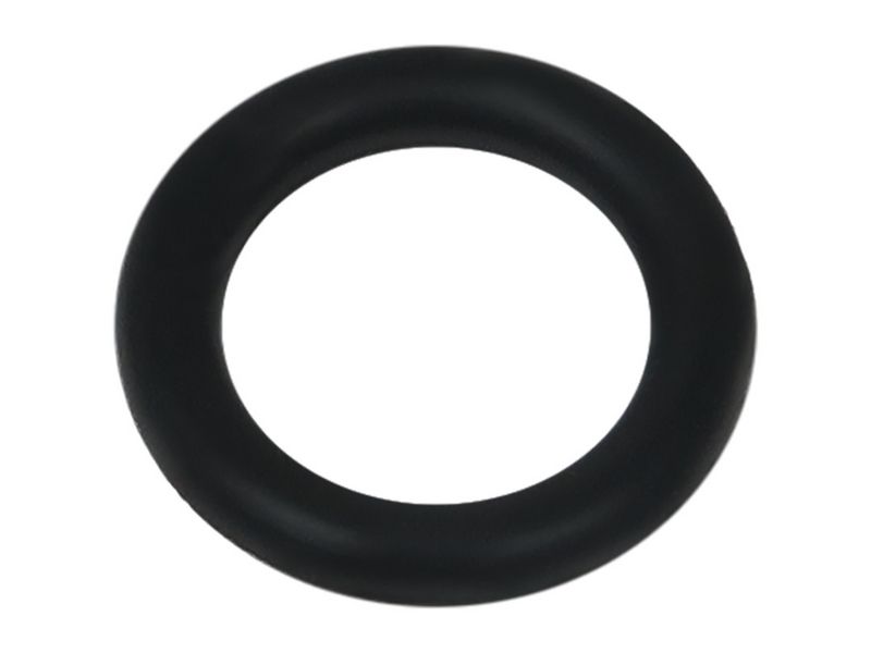 Brand new AS-PL Starter motor o-ring