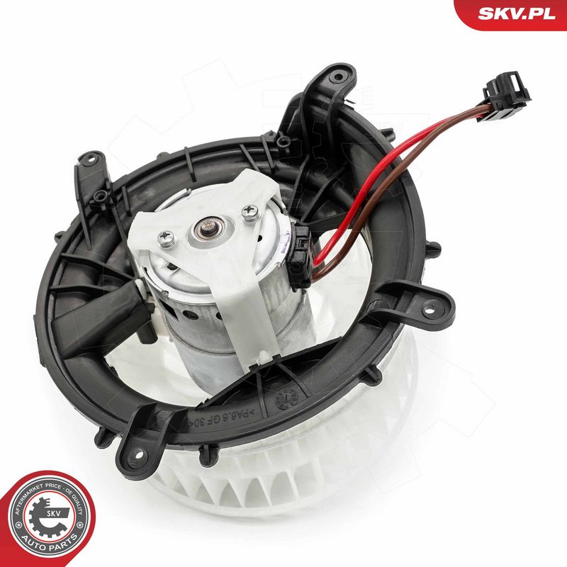 Salongipuhur, ESEN SKV...