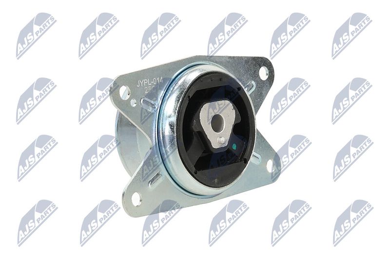 Paigutus, Mootor, NTY ZPS-PL-075
