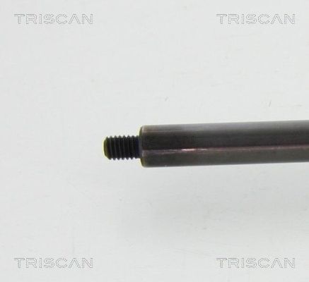 TRIS87101022247900_2.JPG