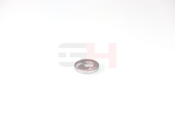 caster shim, sillatala, GH GH-391582